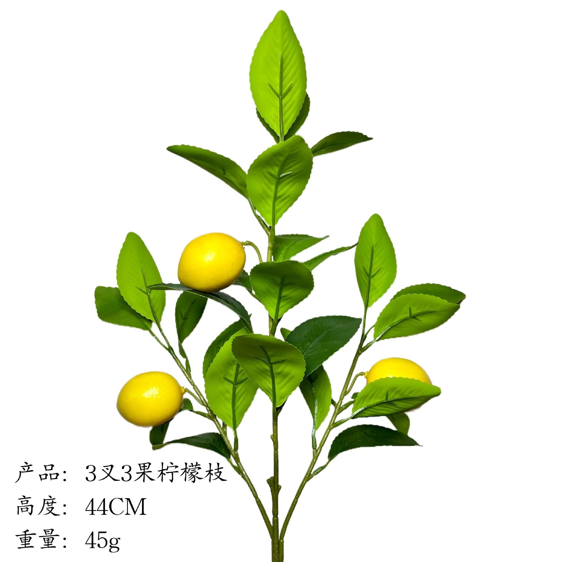 HFAJF54-1121849
