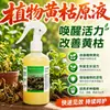 Amarillamiento Original Líquido Vegetal Melón Fruta Suplemento Nutrición Tomate Mejorar Calidad Árbol Frutal Plántula Fuerte Amarillamiento Original Polvo Fertilizante Foliar