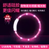 Venta caliente transfronteriza collar luminoso para perro gato LDE collar luminoso para mascotas collar luminoso de carga noche para perro collar noche