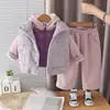 Ropa de invierno para niñas: estilo simple de principios de invierno, con un pequeño bordado de caballo, chaleco acolchado de algodón, sudadera con capucha de forro polar y pantalones deportivos de pierna recta
