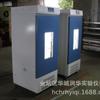 Cámara climática artificial LHP-300HE, incubadora de temperatura y humedad constantes, para bacterias, mohos y microorganismos, cámara de prueba de temperatura constante.
