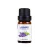 Óleos Essenciais Atacado: Óleos Individuais de Lavanda, Melaleuca, Rosa, Laranja Doce, Alecrim; Aromaterapia Caseira à Base de Plantas; Skincare Facial à Base de Plantas