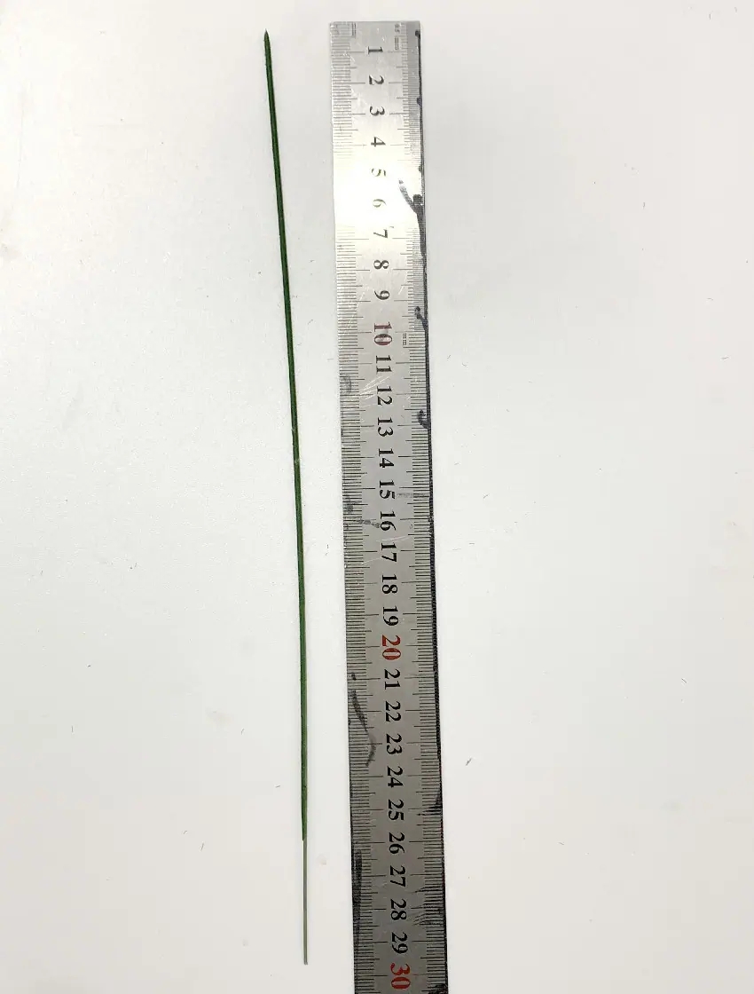微信图片_20221019223040_副本