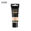 Farnuose 35ml Kit de Tinta Acrílica 48 Cores Tubos de Plástico com 6 Pincéis Tabela de Cores Pintura de Parede Atacado