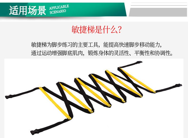 固定敏捷梯_03.jpg