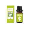 Difusor de Óleo Essencial de Aromaterapia Sem Fogo Especial para Hotel Escritório Planta de Interior Fragrância Umidificador Natural Difusor de Óleo Essencial