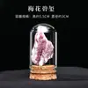 Venta al por mayor de fábrica Piedra Bruta de Cristal Natural Muestra de Mineral para Niños Divulgación Científica Enseñanza Piedra Semipreciosa Adorno de Escritorio para el Hogar