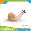 Simulação transfronteiriça modelo de caracol réptil selvagem micro paisagem jardim jardim paisagem decoração de mesa de areia