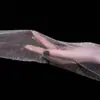Medias negras transparentes sexy sin costuras para mujer, talla grande, con brillo aceitoso, finas, anti-enganches, duraderas, medias aurora brillantes para embellecer la piel