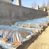 Nuevo soporte para invernadero pequeño de varilla sólida de fibra de vidrio, estructura de plástico para invernadero, soporte para cobertizo de verduras de granja y hogar