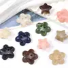 Botones de Resina en Forma de Estrella de Cinco Puntas para Cárdigans, Abrigos y Pantalones, Botones Decorativos de Estrella de Colores Cosidos a Mano para DIY