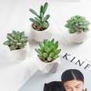 Bonsái de Planta Verde Nórdica Flor Falsa Decoración de Interior Decoración de Escritorio Biónica Suculenta Pequeña Planta en Maceta
