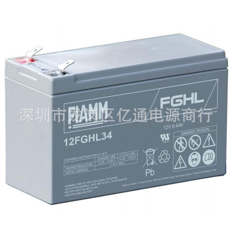 12FGHL34 12-8.4AH.jpg