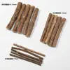 Brinquedo para gato bastão de roer, suprimentos para animais de estimação, catnip, mentas, entretenimento próprio alívio do tédio bastão teaser para gato roer fabricante