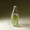 Atacado do Fabricante Garrafa de Vidro Hidropônico Vidro de Alto Borossilicato Micro Paisagem Garrafa Ecológica Paisagismo de Plantas Garrafa Redonda Pote com Vedação