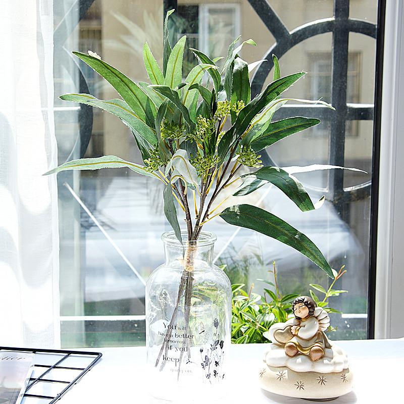 带果弯叶尤加利