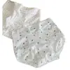 Braguitas Florales de Seda de Hielo para Niña Ligeras Transpirables de Cintura Media Triángulo Ropa Interior Suave Amigable con la Piel para Mujer Venta al por Mayor