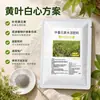 Plan de Manejo Especializado Hoja Amarilla Corazón Blanco para Corregir el Amarillamiento Fisiológico, Restaurar el Crecimiento Saludable del Cultivo, Fabricante de Plantación Hortícola