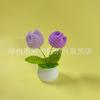 Flor Tulipa de Crochê Pequena Planta em Vaso Presente para o Dia da Deusa Flor Artificial Feita à Mão Bonsai Planta Verde Flor Artificial