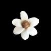 En Stock 4cm Flores Pequeñas de Jazmín para Difusor de Caña Difusor de Aroma sin Llama Flores Decoración del Hogar Arreglo Floral Se Puede Insertar en Alambre