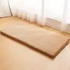 Suministro Exclusivo Transfronterizo de Tapetes para Mascotas y Camas para Perros, Nuevo Modelo 2026 Camas para Dormir de Franela para Gatos y Perros, Venta al por Mayor en Amazon