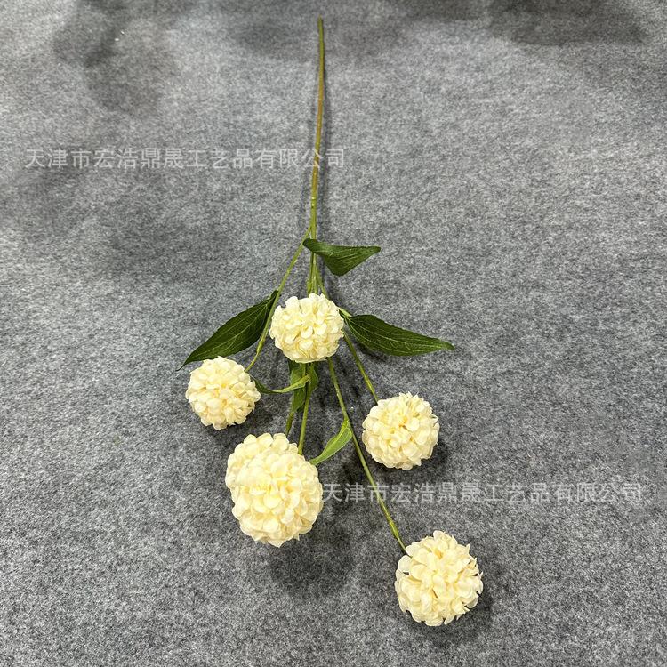 微信图片_202302211530073_副本