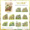 Pacote de Adesivos para Pets Zabc Série Jardim Secreto Materiais de Decoração para Diário de Plantas e Flores 10 Folhas 6 Designs
