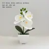 Adornos Creativos de Orquídea Phalaenopsis en Maceta, Productos Domésticos de Moda, Flores Simuladas, Películas Ecológicas, Plantas Verdes, Plantas en Maceta, Flores Artificiales al por Mayor