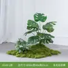 Plantas Verdes Artificiales al por Mayor Paisajismo Interior Plantas Falsas de Gama Alta Decoración de Paisaje Grupos de Musgo Flores Biónicas Decoración Suave Luz
