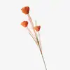 Rosas de Espuma Simulada de Três Cabeças para Estúdios de Fotografia de Casamento, Decoração de Hotel, Design Floral, Adereços de Fotografia de Alta Qualidade