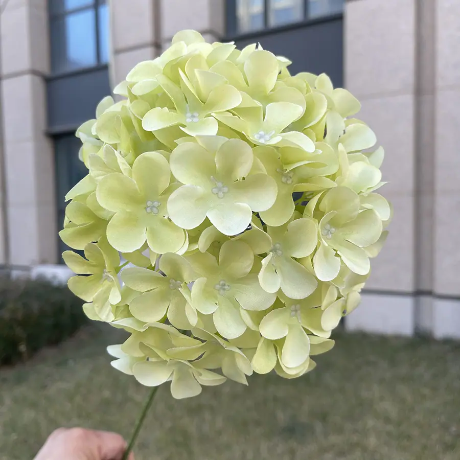 18cm新72片大绣球-浅绿.JPG