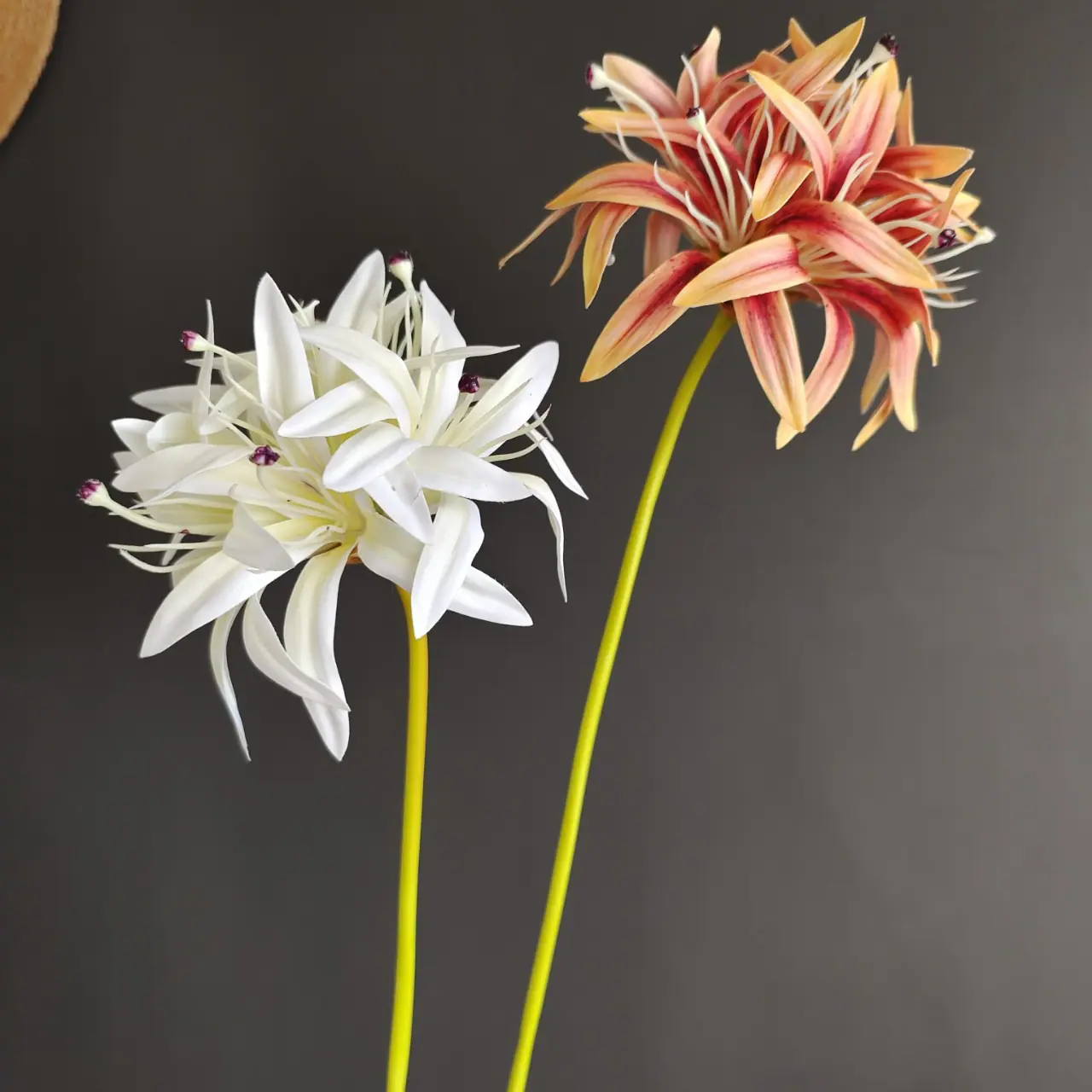 upload