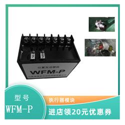 WFM-P