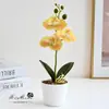 Orquídea Phalaenopsis Artificial con Tres Flores y Dos Hojas, Tacto Realista, Planta Pequeña en Maceta, Flor Artificial Decorativa para Interiores