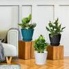 Vaso de flores de varanda doméstica multicolorido com padrão ondulado espesso e suporte para bacia, material pp durável, vaso de flores com bandeja