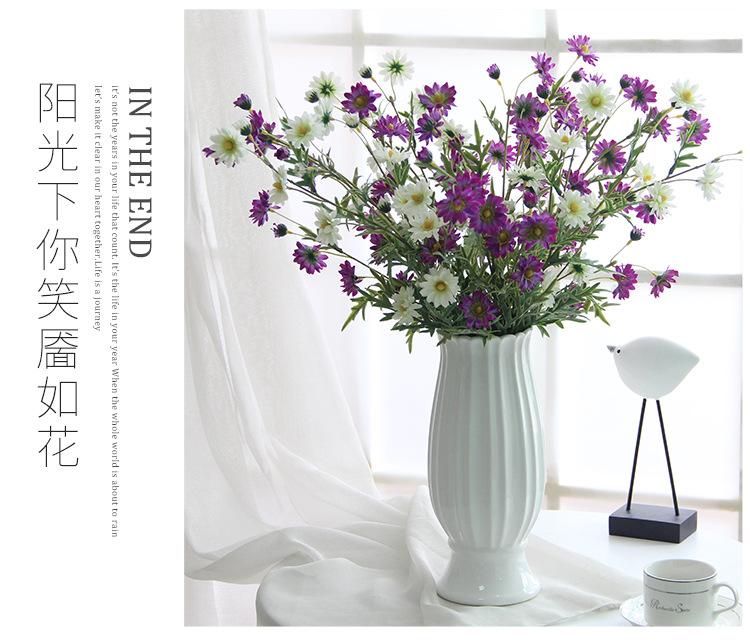 丁香菊19 (2).jpg