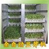 Suministro de máquina de germinación de soja comercial, totalmente automática, de gran capacidad, con temperatura y humedad constantes, máquina de germinación multifuncional.