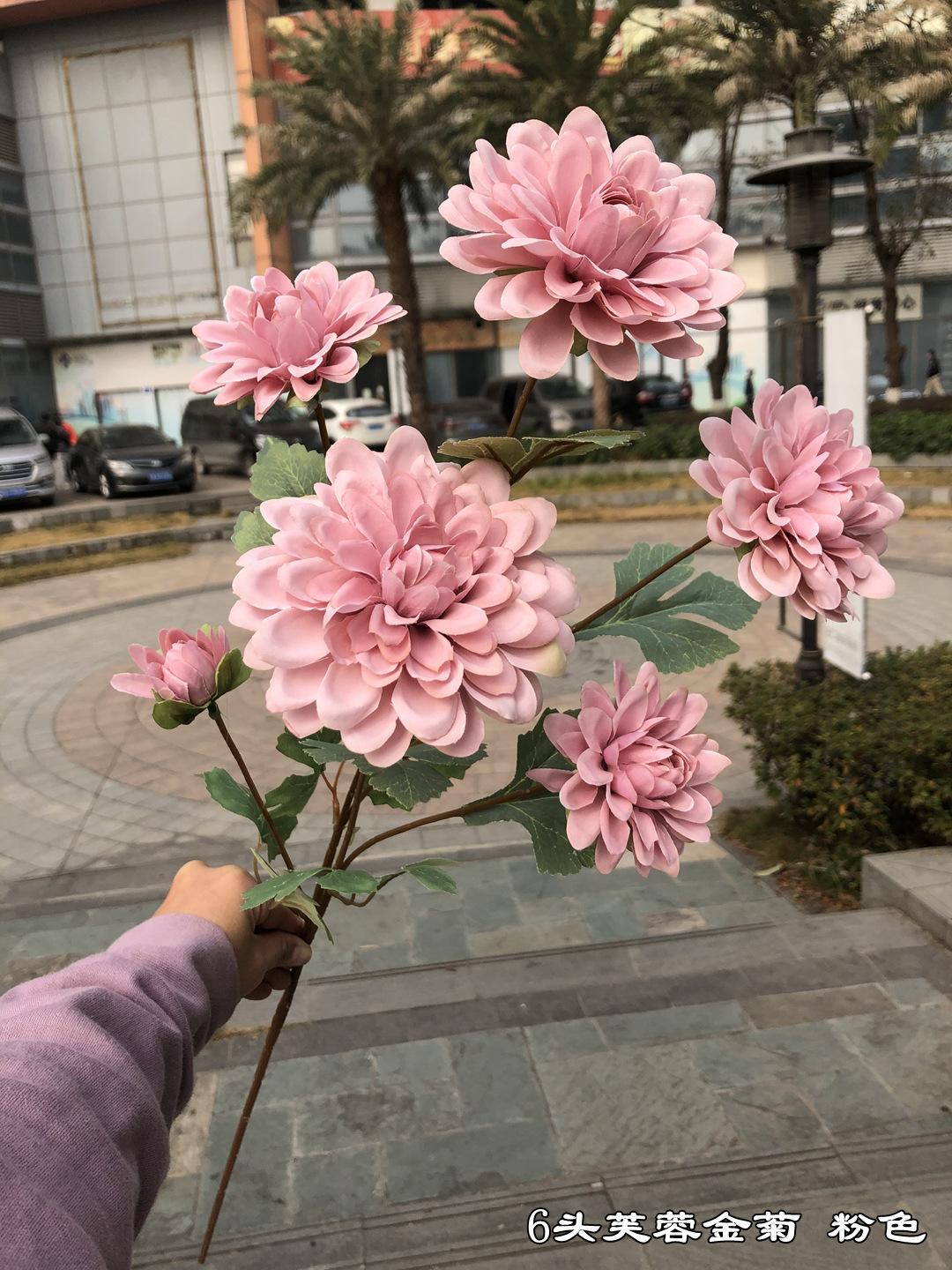 微信图片_20210116110238.jpg