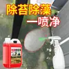 Removedor de Musgo Piso de Cemento Limpiador de Musgo Cubo de Limpieza Tubería de Agua Estanque de Peces Eliminación de Algas Removedor de Musgo Agente de Limpieza Mayoreo