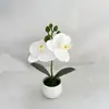 Mini 2 Plantas de Phalaenopsis de Plástico en Maceta Diseño de Patio Exterior Adornos de Flores Artificiales Fotografía de Boda Bonsái Decorativo