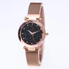 Reloj Popular de la Celebridad de Internet Douyin, Mismo Modelo, Cuarzo Simple, Cielo Estrellado, para Mujer, Imán, Correa de Malla de Acero Inoxidable, Moderno