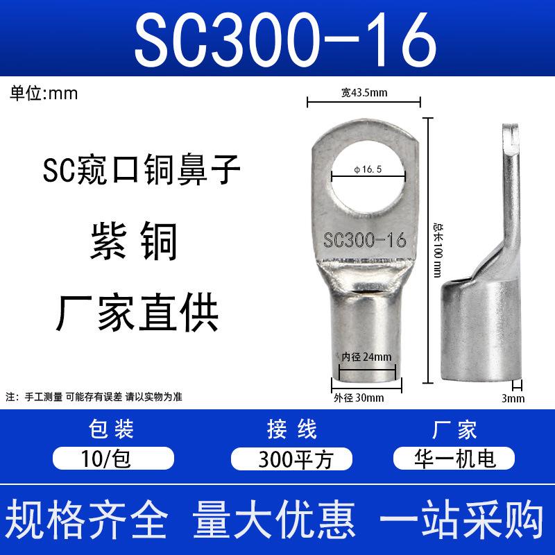 SC300-16.jpg