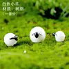 Figuras de micro-paisajismo pequeños adornos decoraciones jardinería bonsái suculentas oficina plantas en maceta creativas paisajismo diy