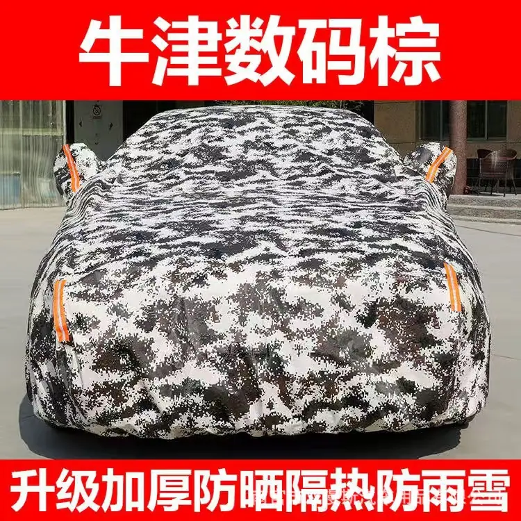 主图