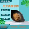 Extracto de Cistanche Deserticola Saponina Flavonoide del Desierto Polvo de Péptidos Concentrados en Stock con Envío Gratis Antioxidante