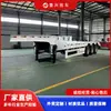 Directamente del fabricante: Semirremolque de Plataforma Baja de Tres Ejes, Remolque de Transporte de Equipo de Ingeniería de Dos Ejes de Servicio Ligero, Remolque para Excavadoras