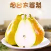 Pera Tai Po de Yantai, Shandong - Caja completa de fruta fresca de temporada, incluyendo pera plátano y pera fea de cabeza grande