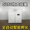 Máquina automática para incubar huevos de gallina, pato, ganso y paloma, 5280, Guangdong, Shantou, Chenghai, con cabeza de león y ganso.