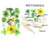 Bolsa de Flores Secas para Manualidades con Flores en Relieve, Marcapáginas de Flores en Relieve, Bolsa de Flores en Relieve, Material para Pintura en Relieve, Pegamento para Flores Reales, Hojas Secas