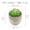 [Suculentas Mini] Planta Suculenta Artificial Bonsái en Maceta de Pulpa de Papel (Maceta Incluida) Adorno Ornamental Imitación de Planta